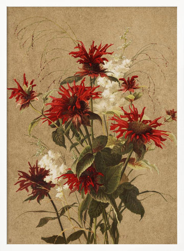 Balm and Spiraea By Ellen Thayer Fisher | Poster - White Frame Interior