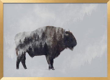 Wild Bison Forest | Poster - Gold Frame Interior