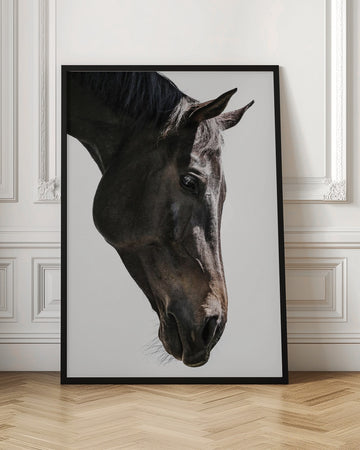 Gentle Equine Gaze | Poster - Room Interior 1