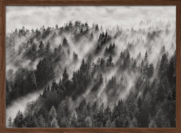 Misty Forest Light Rays | Poster - Walnut Frame Interior