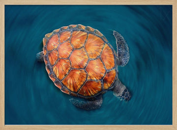 spin turtle | Poster - Wood Frame Interior