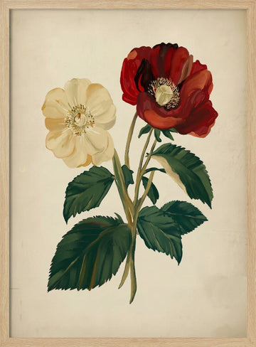 Elegant Red Yellow Flowers | Poster - Wood Frame Interior