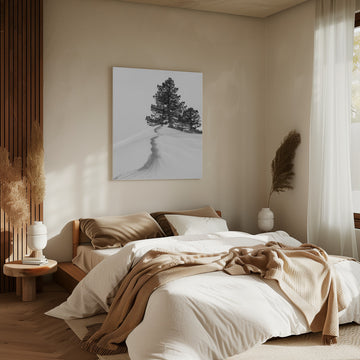 Winter Ridge Pines | Canvas - Room Interior 2