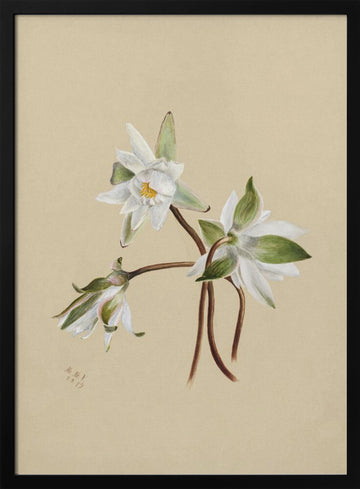 Water Lilies (1879) | Poster - Black Metal Frame Interior