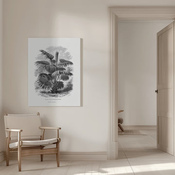 Vintage Palm Tree Drawing Xii | Canvas - Room Interior 1