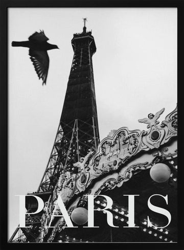 Paris Dove | Poster - Black Metal Frame Interior