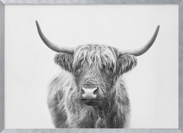 Highland Bull | Poster - Silver Frame Interior