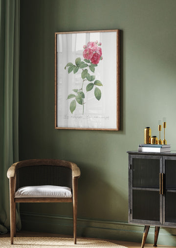 Seven Sisters Roses, Les Roses (1817–1824) | Poster - Room Interior 2