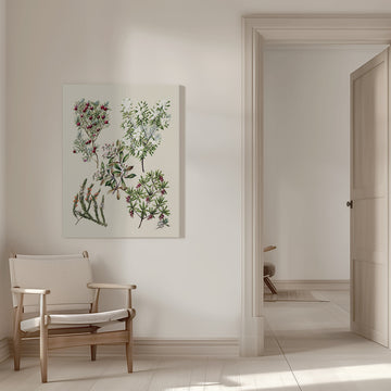 Antique Flowers Drawn By Sarah Featon (1848–1927) | Canvas - Room Interior 1