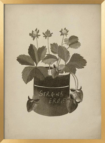 Vintage Strawberry Illustration | Poster - Gold Frame Interior