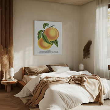 Champion Plum Lithograph | Canvas - Room Interior 2