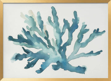 Turqoiuse Coral | Poster - Gold Frame Interior