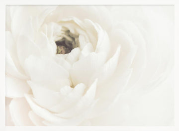 Soft White Bloom | Poster - White Frame Interior
