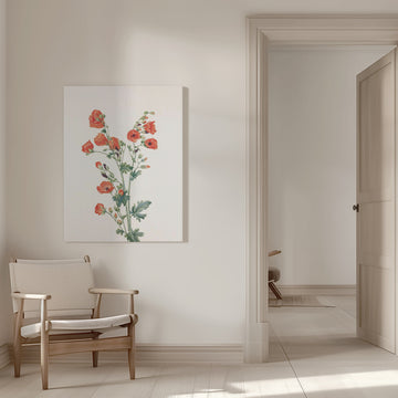 Scarlet Globe Mallow From North American Wildflowers (1925) By Mary Vaux Walcott | Canvas - Room Interior 1