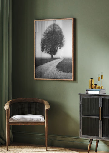 Foggy Path Lone Tree | Poster - Room Interior 2