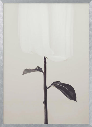 Ethereal Fabric Flower | Poster - Silver Frame Interior