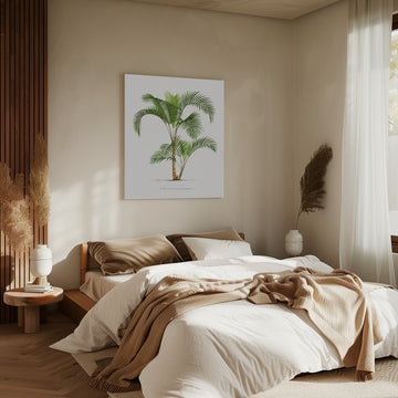 Xvi Hyophorbe I | Canvas - Room Interior 2