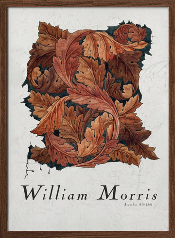 Acanthus | Poster - Walnut Frame Interior