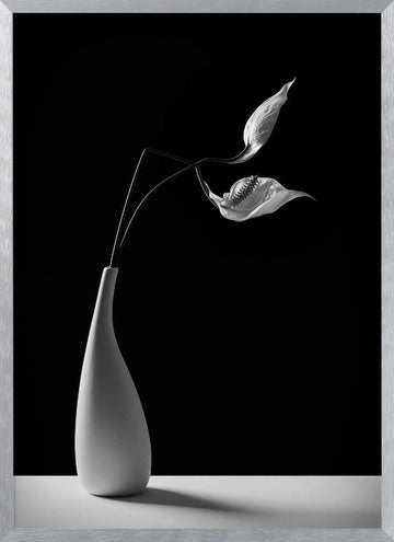 Graceful Peace Lilies Vase | Poster - Silver Frame Interior