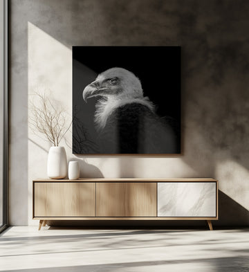 Intense Vulture Gaze | Canvas - Room Interior 2