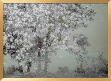 Spring | Poster - Gold Frame Interior