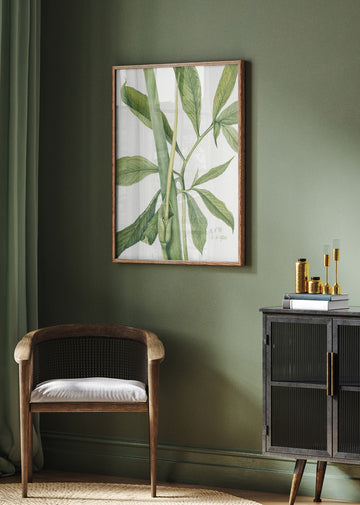Greendragon (1920) | Poster - Room Interior 2