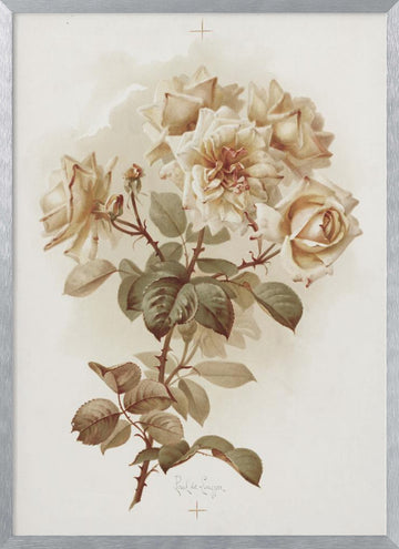 Yellow Roses; Reve D'or Roses | Poster - Silver Frame Interior