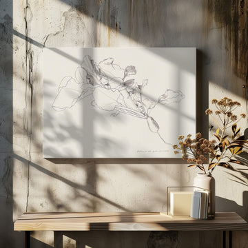 Radish Botanical Drawing | Canvas - Canvas Interior