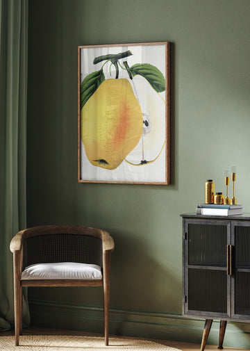Kiefer's Hybrid Pear Lithograph | Poster - Room Interior 2