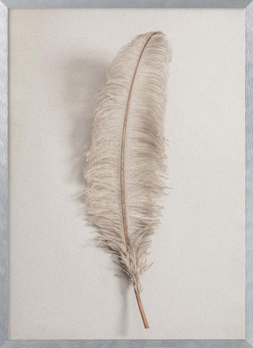 Delicate Light Feather | Poster - Silver Frame Interior