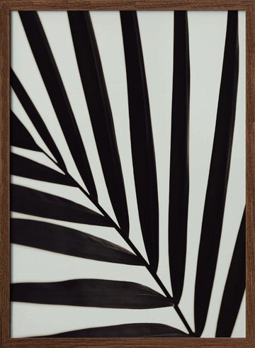 Tropical Leaf Lines | Poster - Walnut Frame Interior