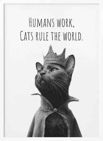 Majestic Cat King | Poster - White Frame Interior