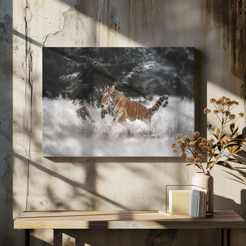 Playful Winter Tigers | Canvas - Room Interior 2
