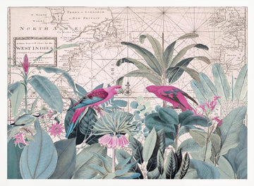 Tropical Map Parrots | Poster - White Frame Interior