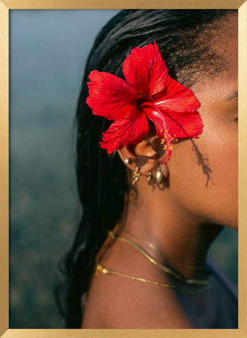 Hibiscus Serenity | Poster - Gold Frame Interior
