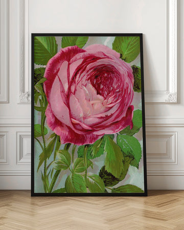 Pink Rose, Mrs John Laing Lithograph | Poster - Room Interior 1