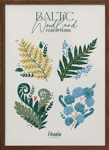 Baltic Woodland Ferns | Poster - Walnut Frame Interior