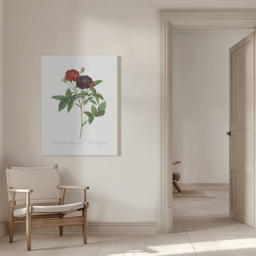 Rose of Van Eeden, Les Roses (1817–1824) | Canvas - Room Interior 1