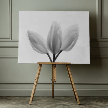 Soft White Tulips | Canvas - Room Interior 1