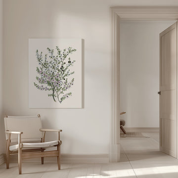 Manuk Drawn By Sarah Featon(1848   1927) | Canvas - Room Interior 1