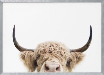 Peeking Cow | Poster - Silver Frame Interior