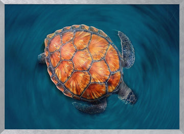 spin turtle | Poster - Silver Frame Interior