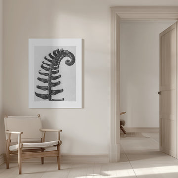 Polystichum Munitum | Canvas - Room Interior 1