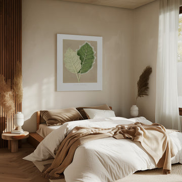 Green Solanum Marginatum Leaf Illustration | Canvas - Room Interior 2