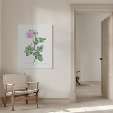 Aurora Poniatowska, Les Roses (1817–1824) | Canvas - Room Interior 1