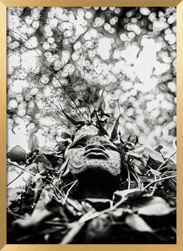Nature Spirit Portrait | Poster - Gold Frame Interior
