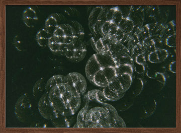 Sparkling Disco Balls | Poster - Walnut Frame Interior