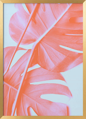 Coral Monstera Glow | Poster - Gold Frame Interior