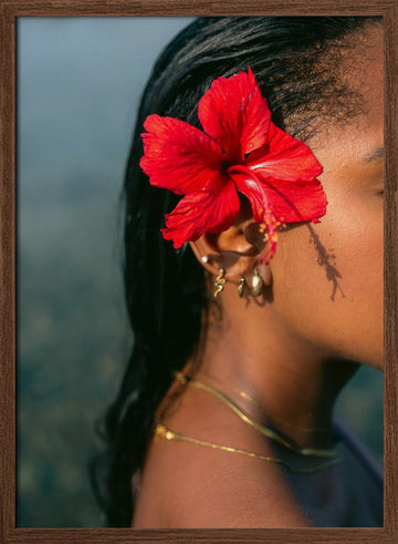 Hibiscus Serenity | Poster - Walnut Frame Interior