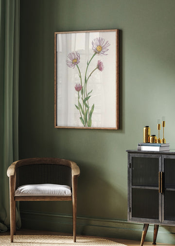 Alaska Fleabane From North American Wildflowers (1925) By Mary Vaux Walcott. | Poster - Room Interior 2